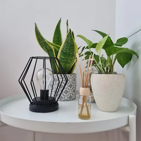 Apartmaji Pri Ticelnu Apartament Bovec