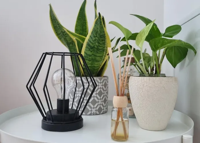 Apartmaji Pri Ticelnu דירה בובק