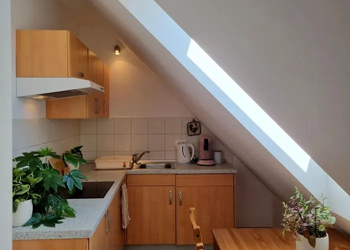 Apartmaji Pri Ticelnu דירה בובק